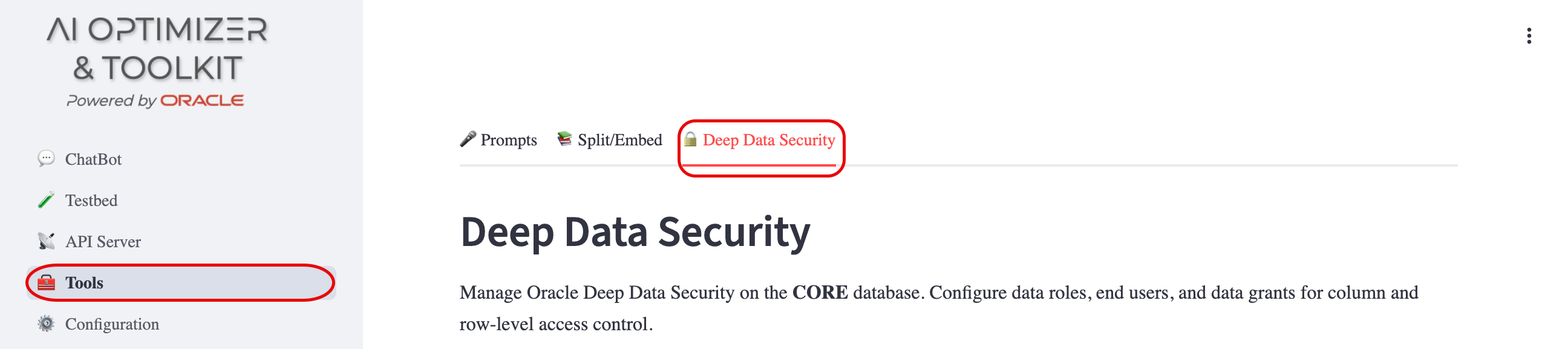 Deep Data Security