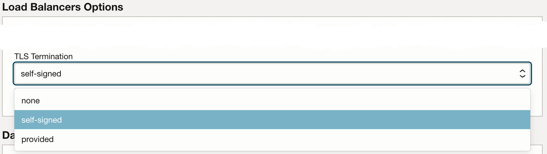 Load-balancer TLS settings