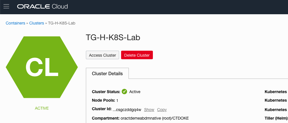 Accessing the page for your cluster