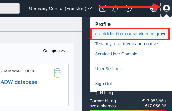 Acceding your user details