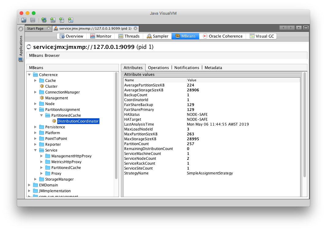 JVisualVM with 2 Nodes Running