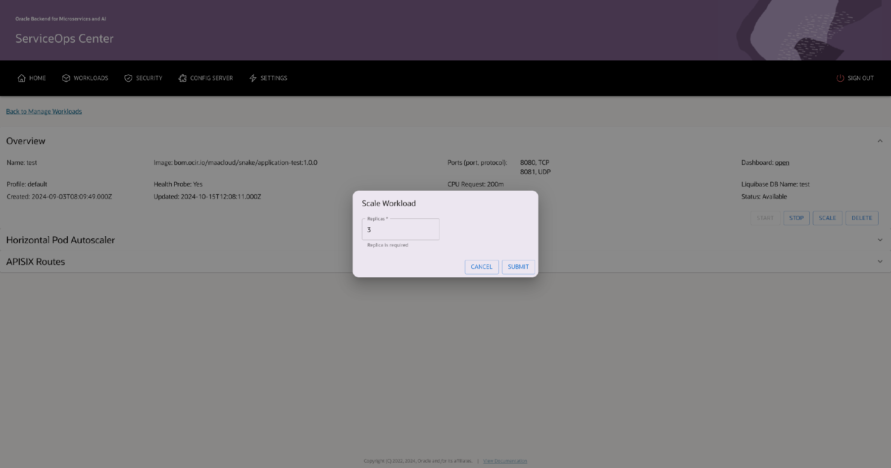 Workload Details: Scale workload