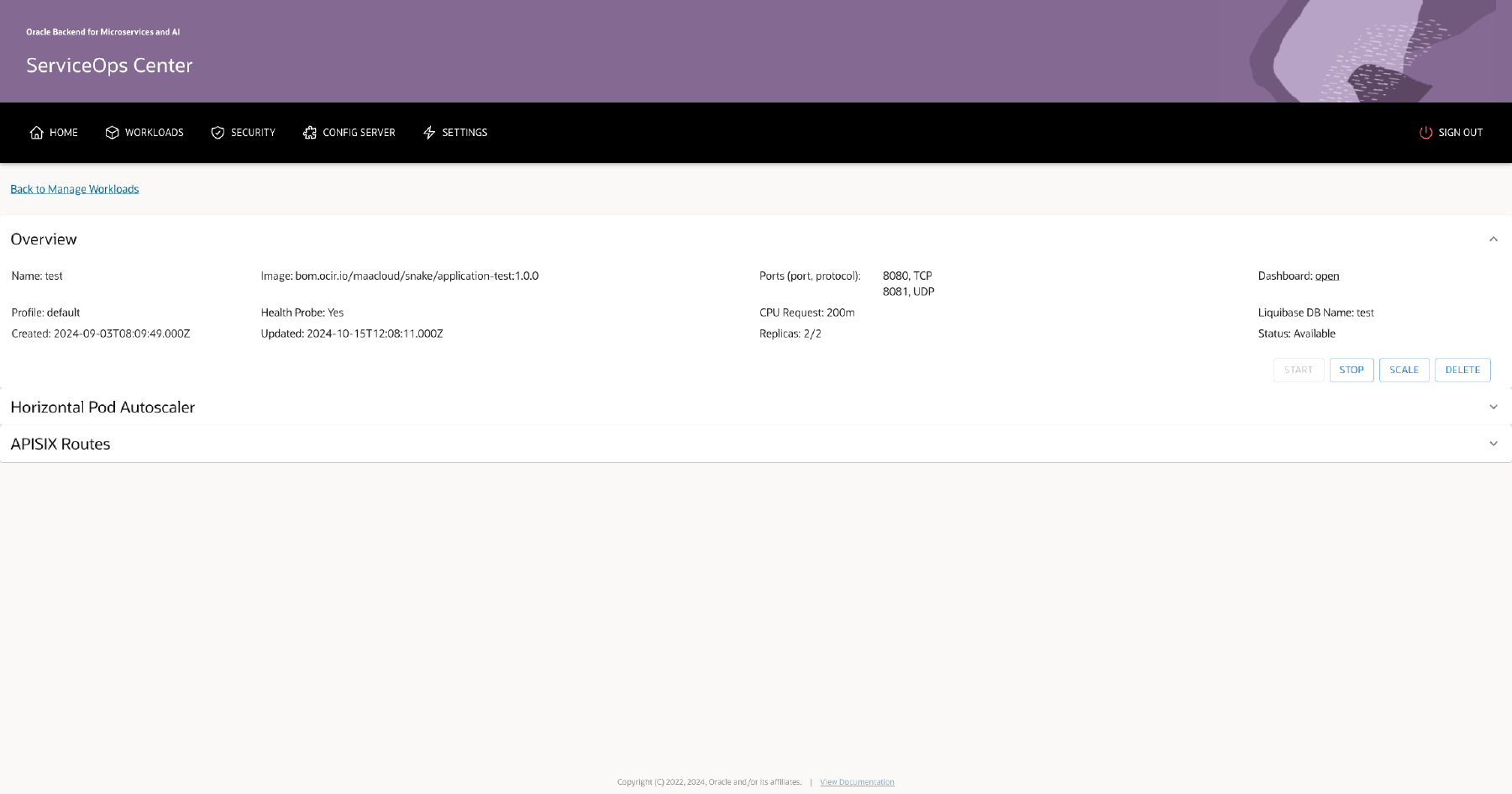 Workload Details: Overview