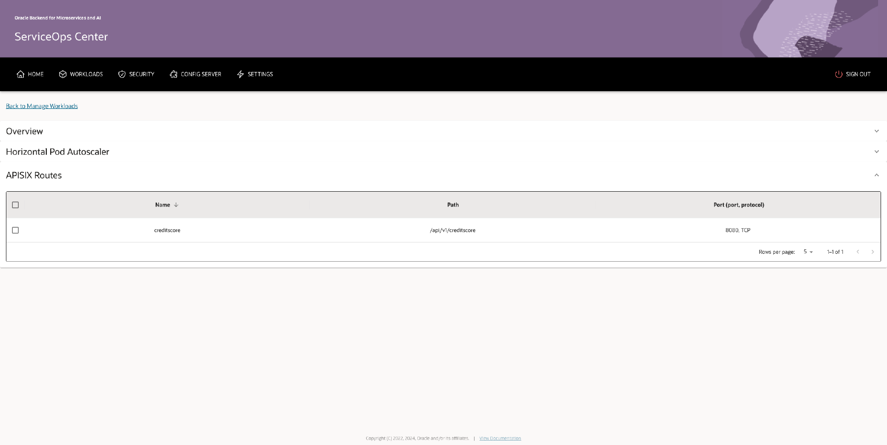 Workload Details: APISIX Routes