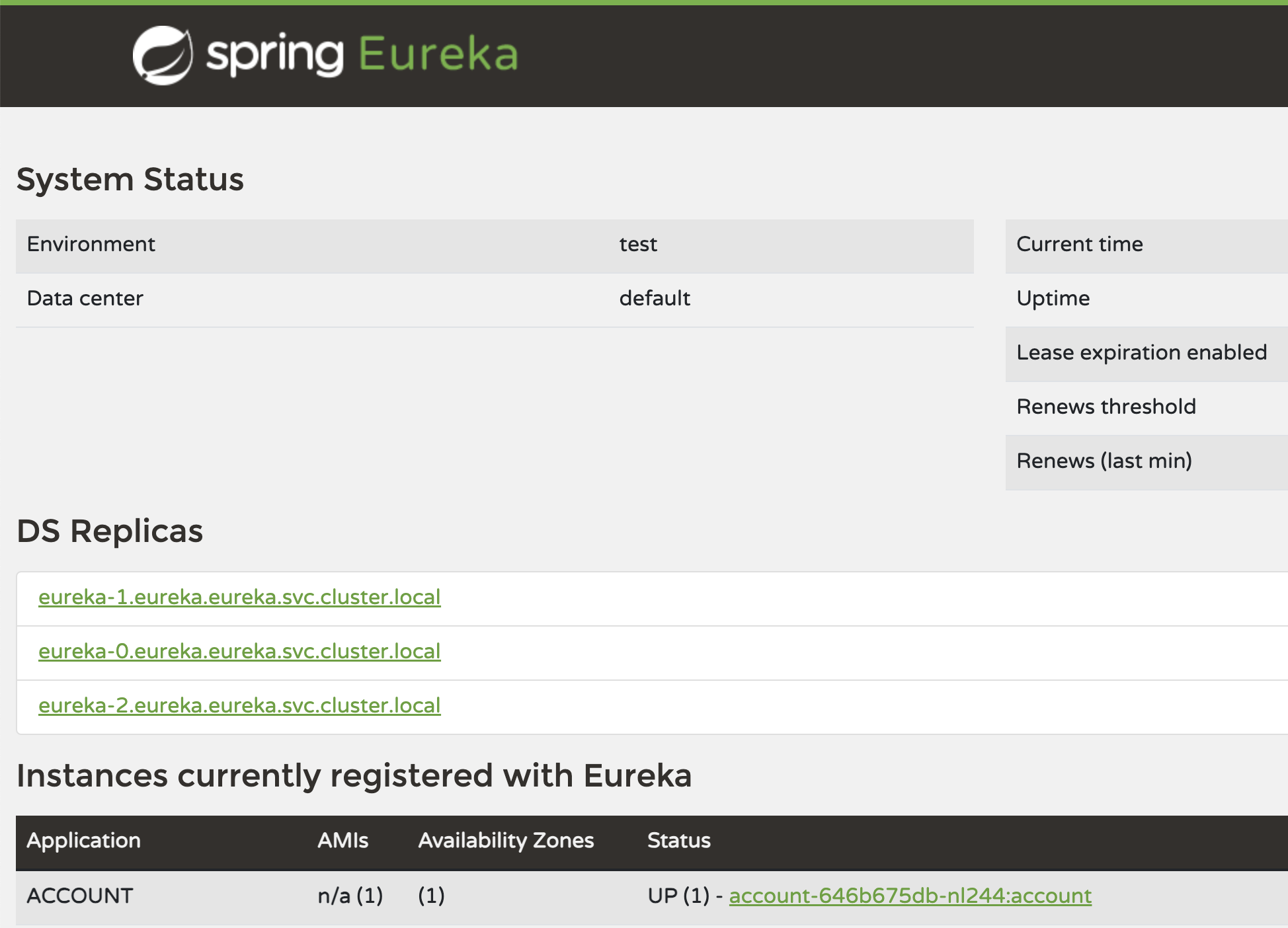 Eureka Server Web Interface