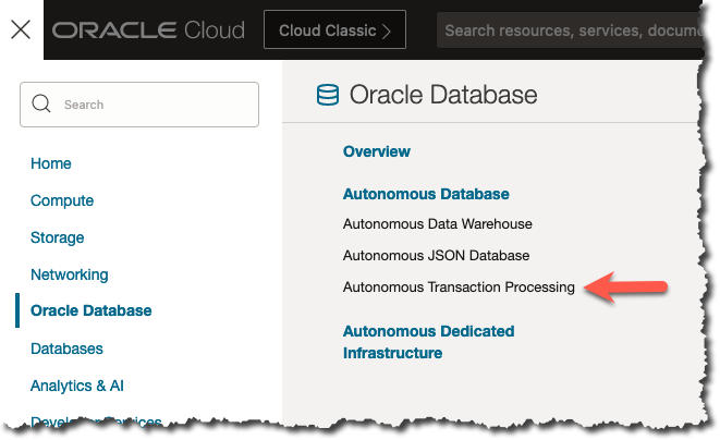 Autonomous Transaction Processing