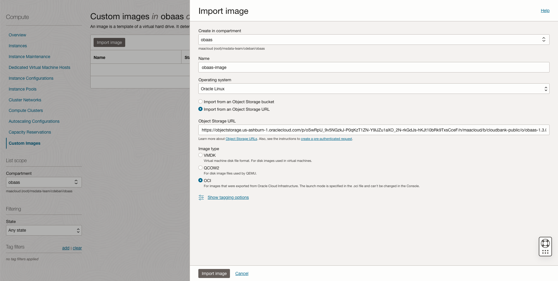 Custom Instance import