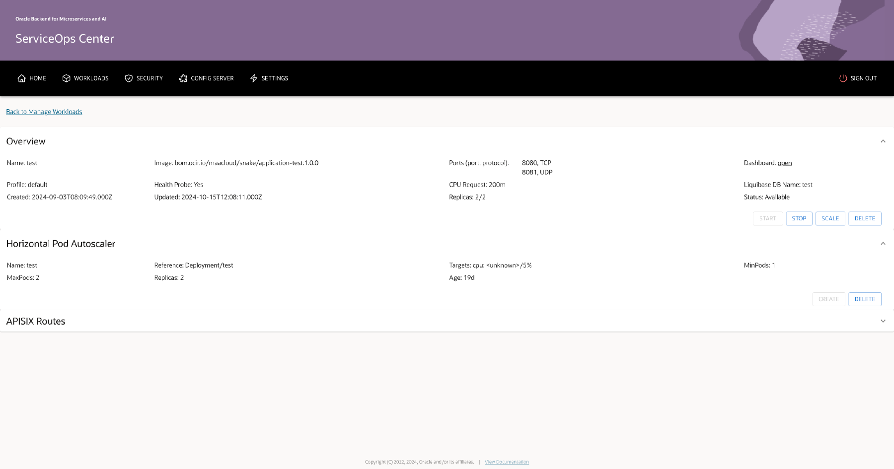 Workload Details